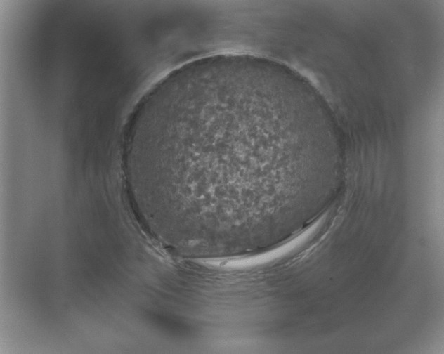 X0000071331263200606301551