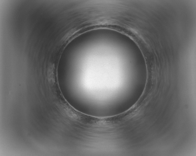 X0000071331265200606301551