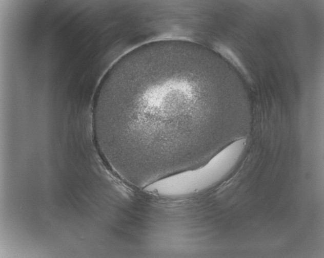 X0000071331268200606301551