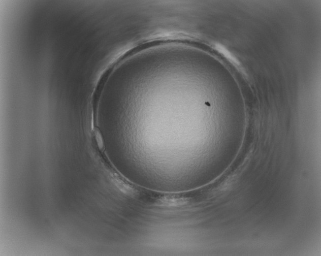 X0000071331269200606301551