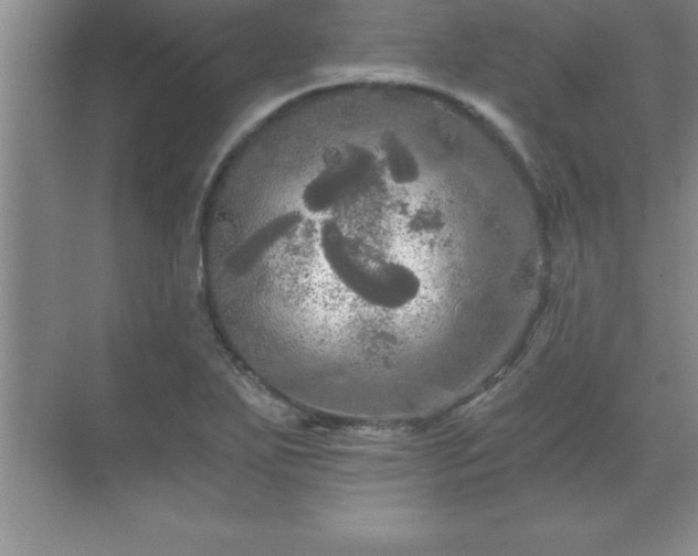 X0000071331271200606301551