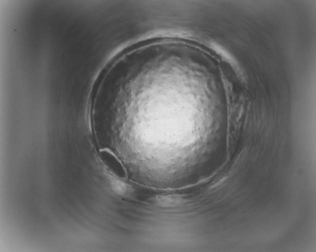 X0000071331272200606301551