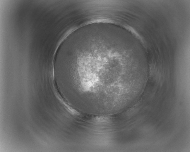 X0000071331274200606301551