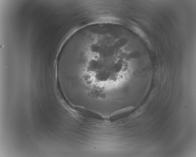 X0000071331275200606301551