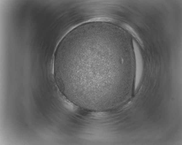 X0000071331276200606301551