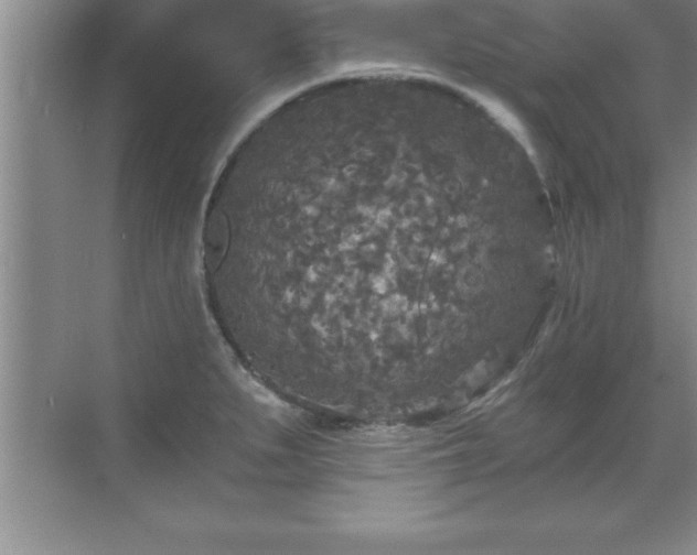 X0000071331279200606301551