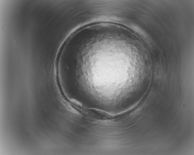 X0000071331280200606301551