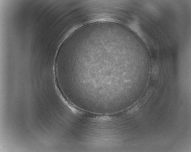 X0000071331282200606301551