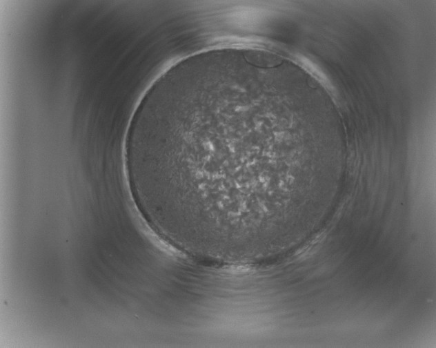 X0000071331283200606301551