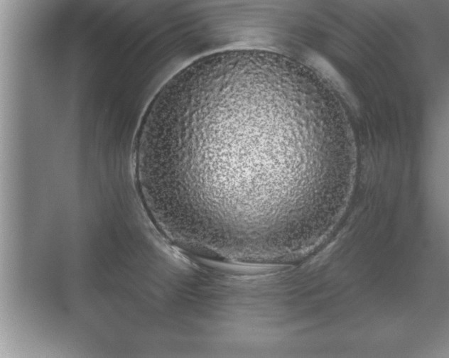 X0000071331284200606301551