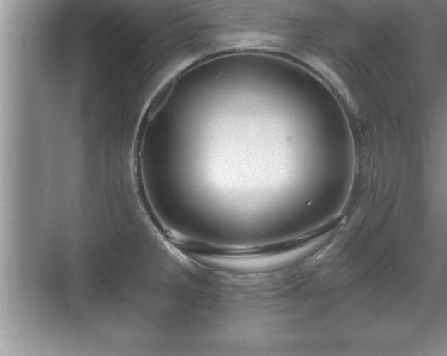 X0000071331285200606301551