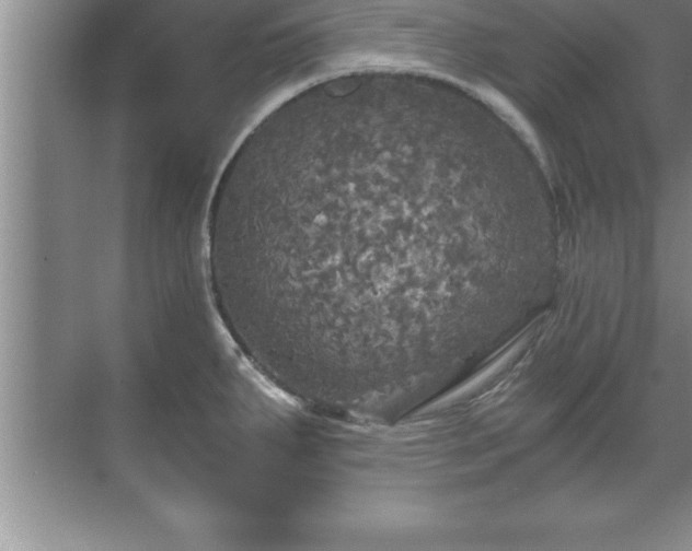 X0000071331287200606301551