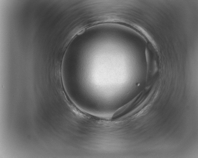 X0000071331289200606301551