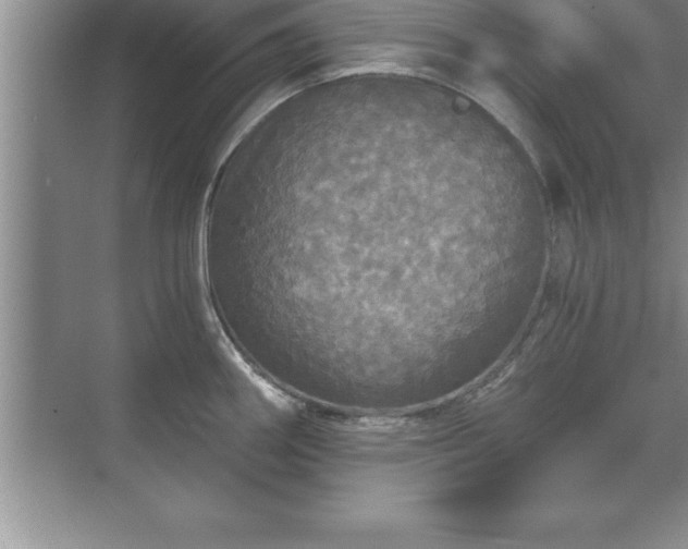 X0000071331290200606301551