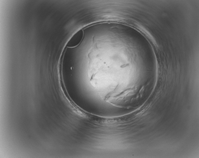 X0000071331291200606301551