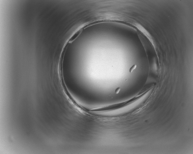 X0000071331293200606301551