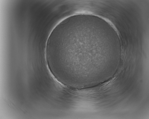 X0000071331295200606301551