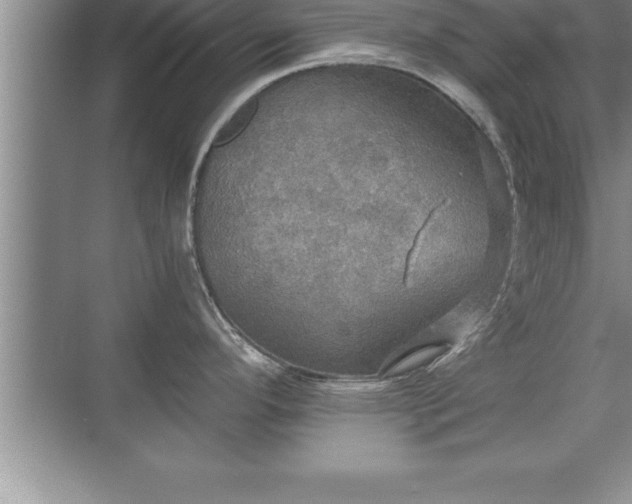 X0000071331296200606301551