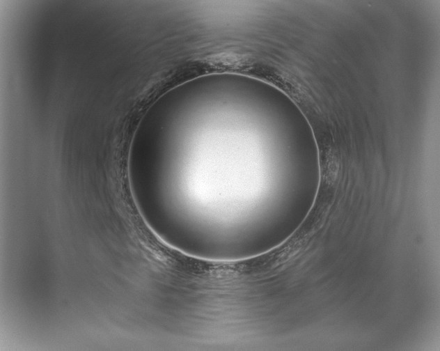 X0000071331297200606301550