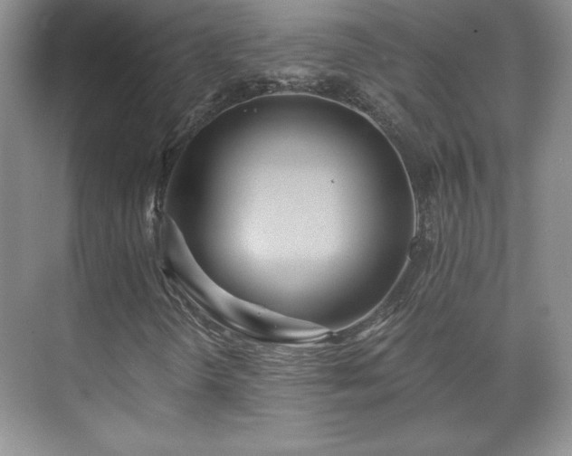 X0000071331298200606301550