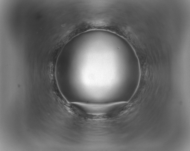 X0000071331301200606301550