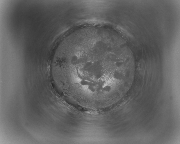 X0000071331302200606301550