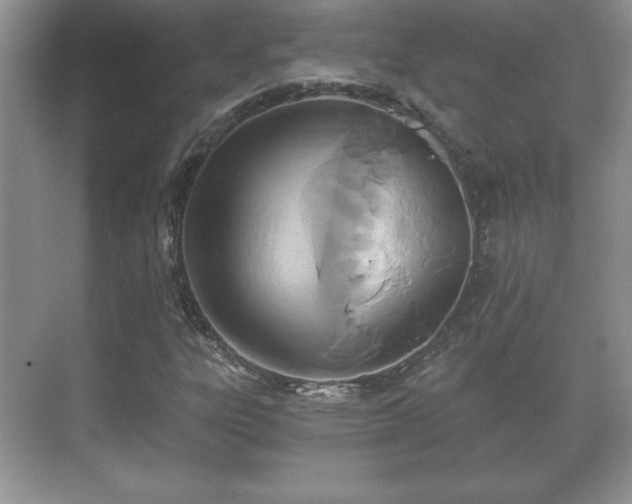 X0000071331303200606301550