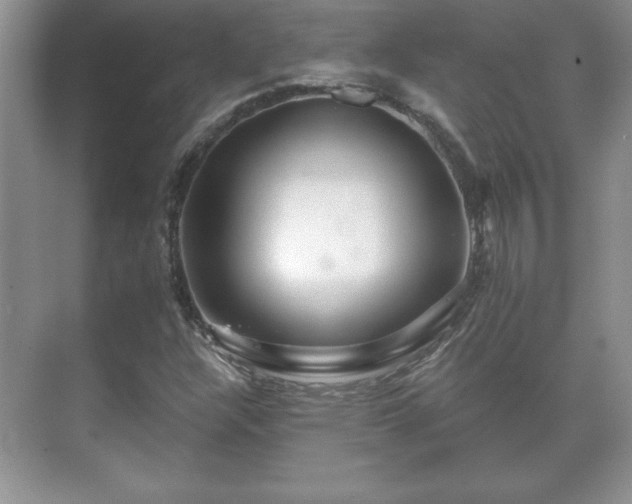 X0000071331304200606301550