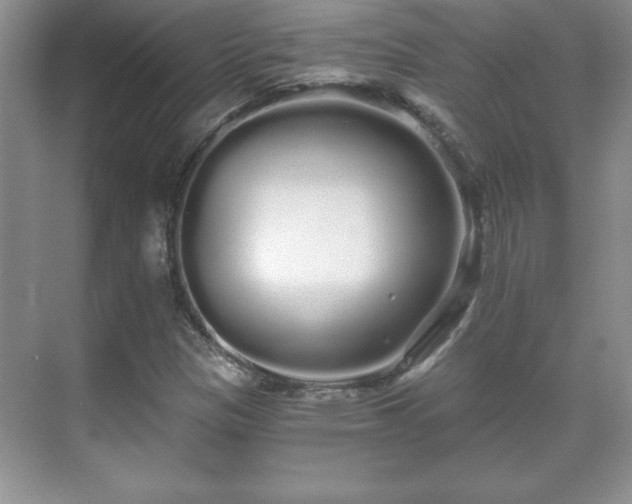 X0000071331305200606301550