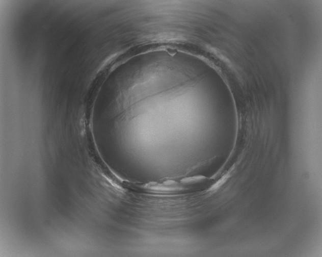 X0000071331306200606301550