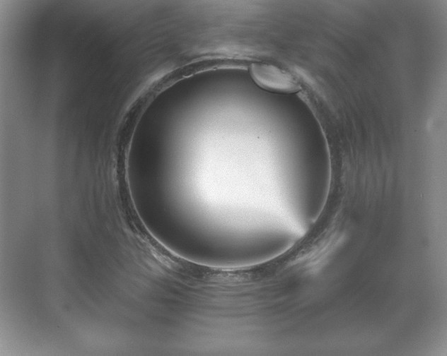 X0000071331307200606301550