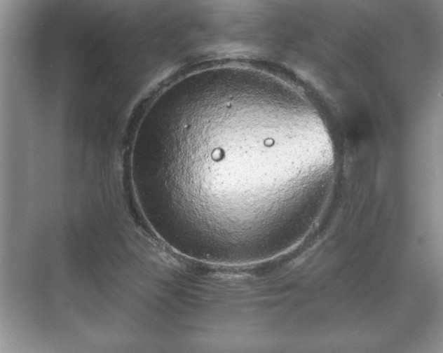 X0000071331309200606301550