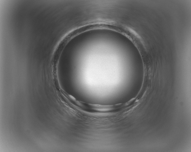 X0000071331310200606301550