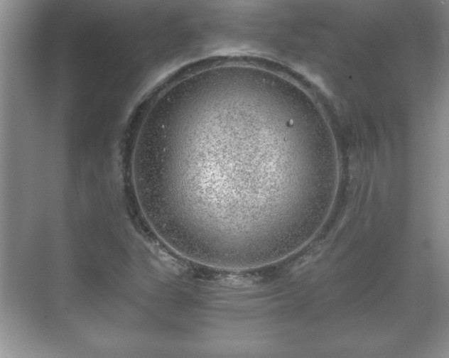 X0000071331311200606301550