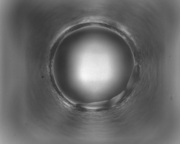 X0000071331312200606301550