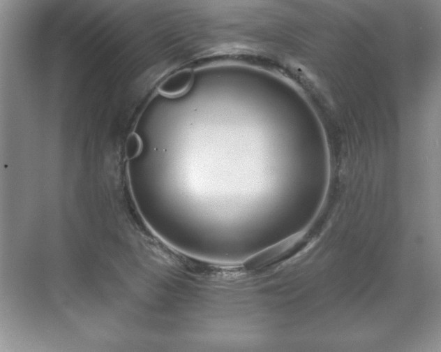 X0000071331313200606301550