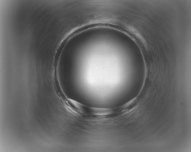 X0000071331316200606301550