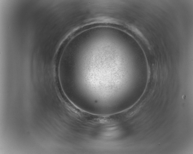 X0000071331318200606301550