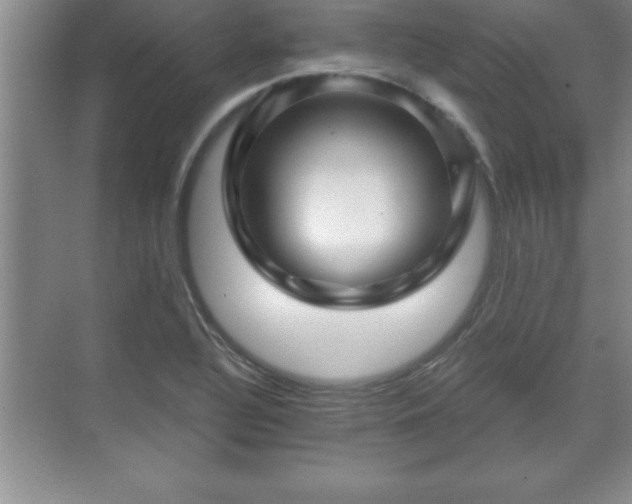 X0000071331320200606301550