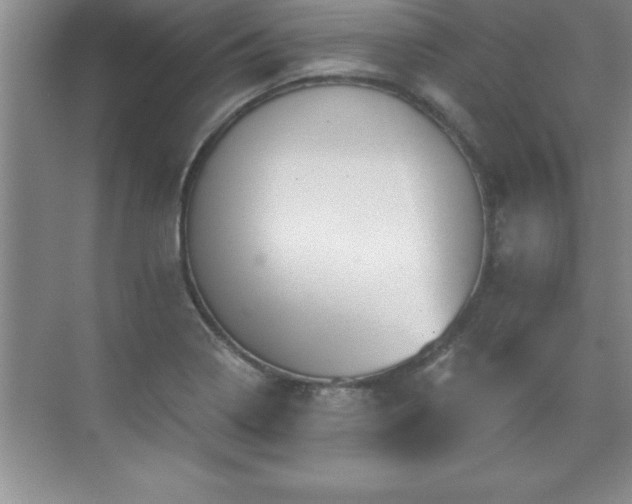 X0000071331322200606301550