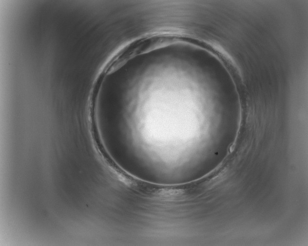 X0000071331325200606301550