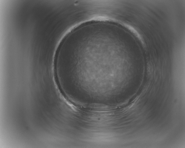 X0000071331327200606301550