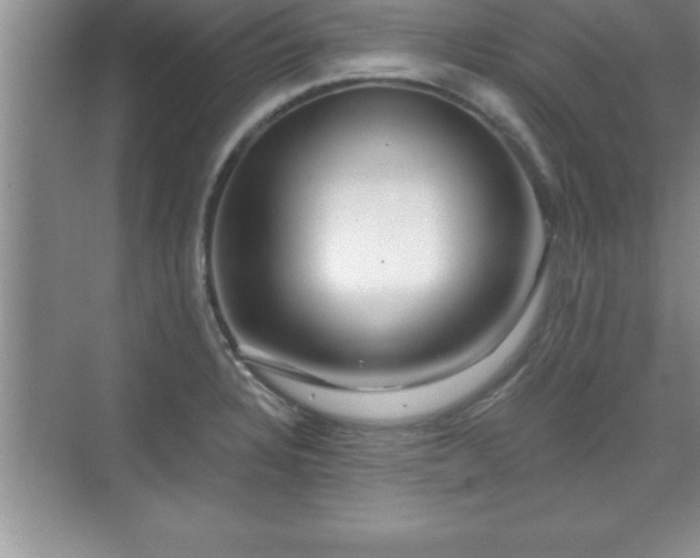 X0000071331328200606301550