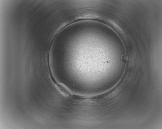 X0000071331329200606301550