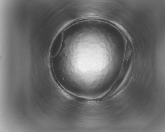 X0000071331333200606301551