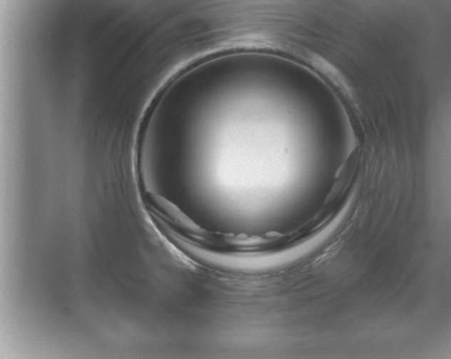 X0000071331334200606301551