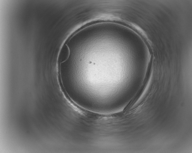 X0000071331335200606301551