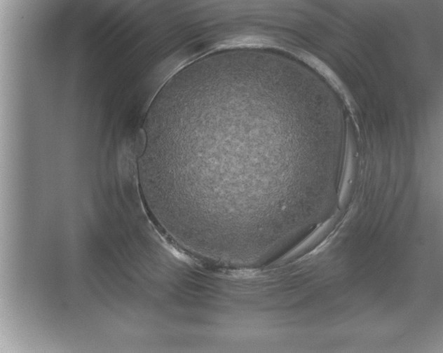 X0000071331337200606301551