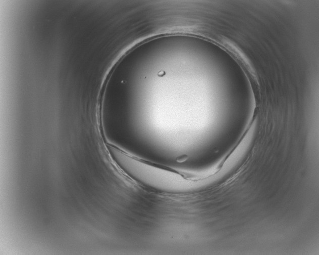 X0000071331340200606301551