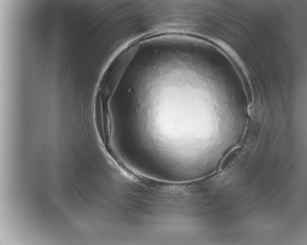 X0000071331341200606301551